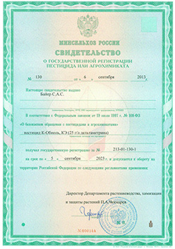 Сертификат 6